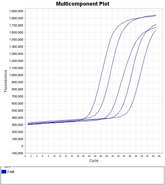 荧光定量扩增曲线